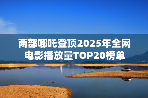 两部哪吒登顶2025年全网电影播放量TOP20榜单