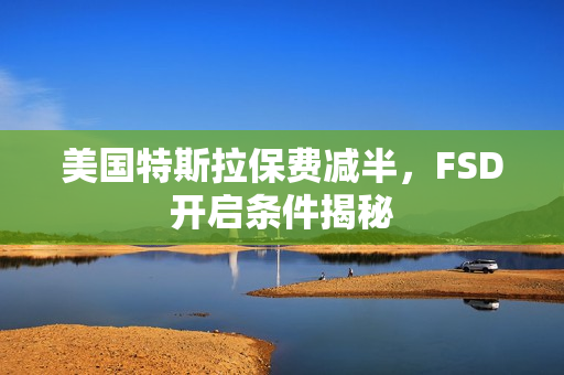 美国特斯拉保费减半，FSD开启条件揭秘