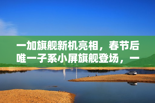 一加旗舰新机亮相，春节后唯一子系小屏旗舰登场，一加15T正式入网！