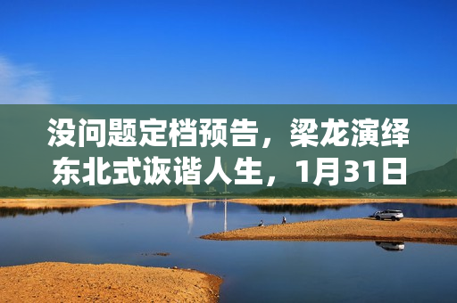 没问题定档预告，梁龙演绎东北式诙谐人生，1月31日即将上演