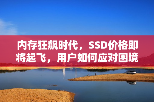 内存狂飙时代，SSD价格即将起飞，用户如何应对困境？