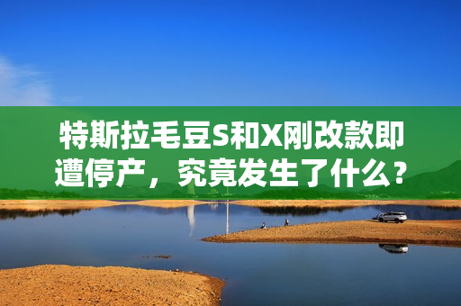 特斯拉毛豆S和X刚改款即遭停产，究竟发生了什么？
