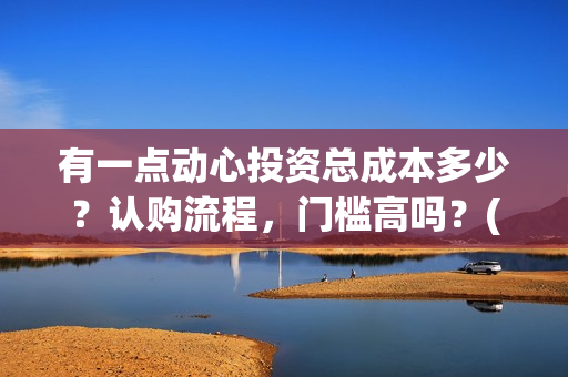 有一点动心投资总成本多少？认购流程，门槛高吗？(有一点动心出品方)