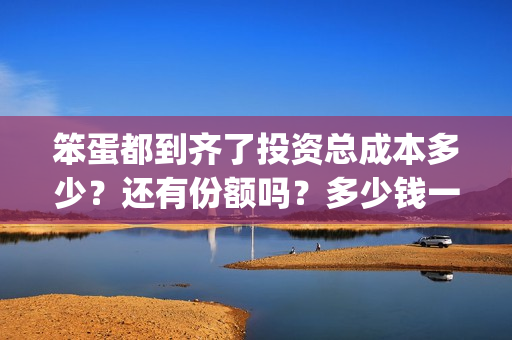 笨蛋都到齐了投资总成本多少？还有份额吗？多少钱一份？(笨蛋idiot)