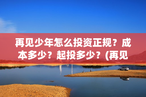 再见少年怎么投资正规？成本多少？起投多少？(再见,少年怎么投)