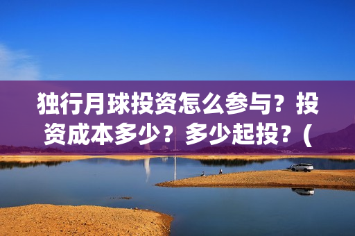 独行月球投资怎么参与？投资成本多少？多少起投？(独行月球票房预测)