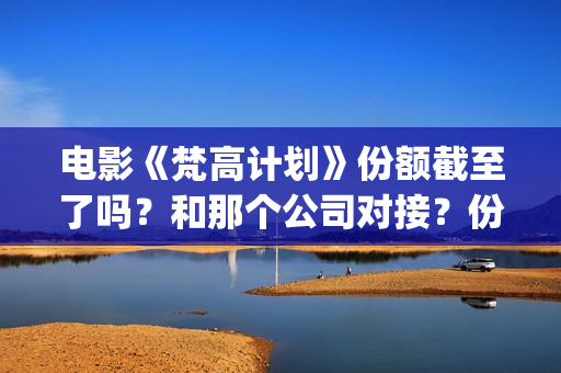 电影《梵高计划》份额截至了吗？和那个公司对接？份额真实吗？(梵高计划出品人)