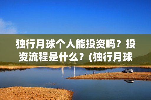 独行月球个人能投资吗？投资流程是什么？(独行月球结局什么意思)