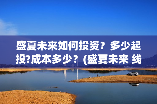 盛夏未来如何投资？多少起投?成本多少？(盛夏未来 线上)