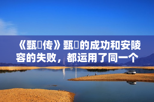 《甄嬛传》甄嬛的成功和安陵容的失败，都运用了同一个法则