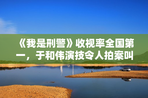 《我是刑警》收视率全国第一，于和伟演技令人拍案叫绝