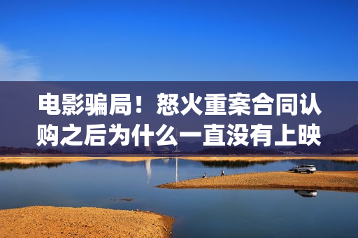 电影骗局!怒火重案合同认购之后为什么一直没有上映?这是骗局吗?(电影怒火剧情介绍) 电影骗局!怒火重案合同认购之后为什么一直没有上映?这是骗局吗?(电影怒火剧情介绍)