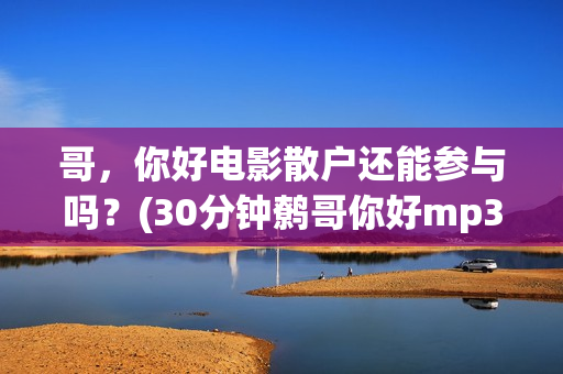 哥，你好电影散户还能参与吗？(30分钟鹩哥你好mp3)
