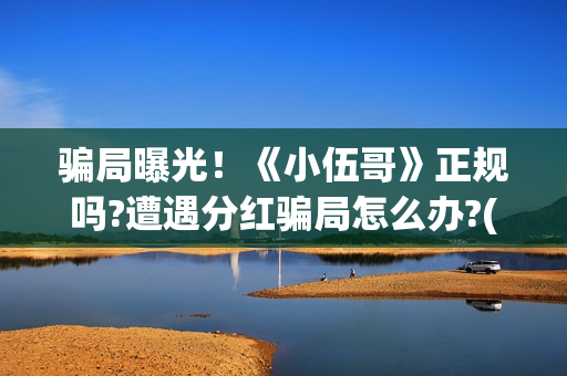 骗局曝光！《小伍哥》正规吗?遭遇分红骗局怎么办?(小型骗局)