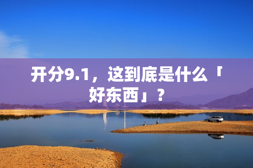开分9.1，这到底是什么「好东西」？