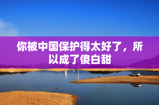 你被中国保护得太好了，所以成了傻白甜