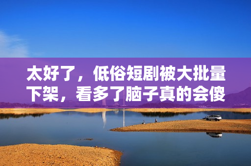 太好了，低俗短剧被大批量下架，看多了脑子真的会傻！