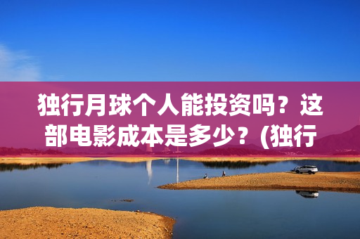 独行月球个人能投资吗？这部电影成本是多少？(独行月球制片人)