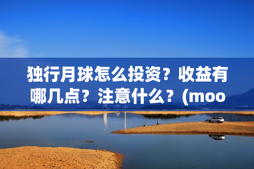 独行月球怎么投资？收益有哪几点？注意什么？(moonyou-独行月球)