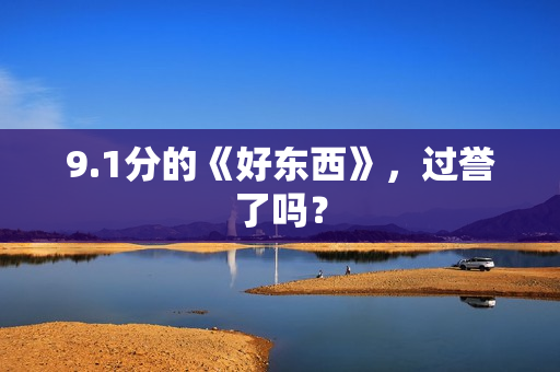 9.1分的《好东西》，过誉了吗？
