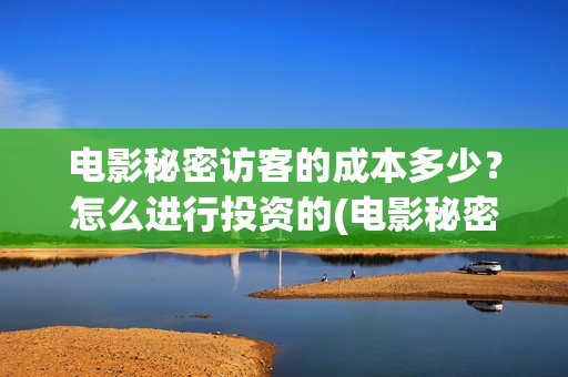 电影秘密访客的成本多少？怎么进行投资的(电影秘密访客深度解析)