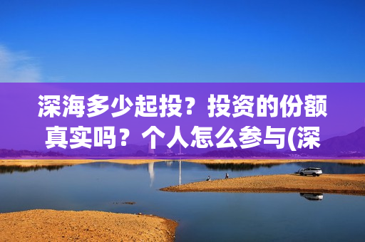 深海多少起投？投资的份额真实吗？个人怎么参与(深海到底有多深?)