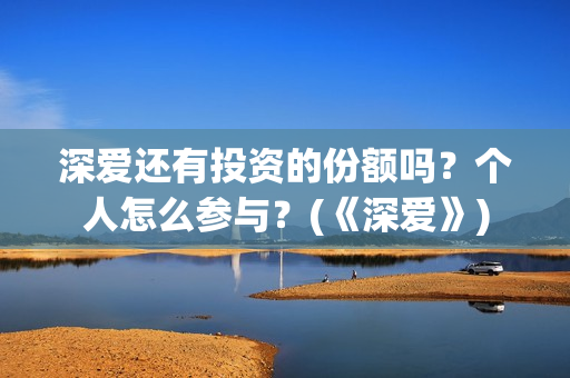 深爱还有投资的份额吗？个人怎么参与？(《深爱》)