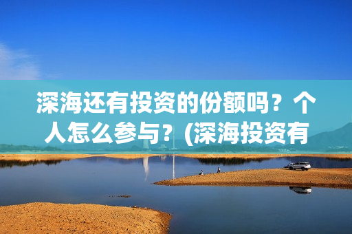 深海还有投资的份额吗？个人怎么参与？(深海投资有限公司)