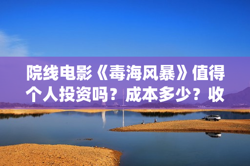 院线电影《毒海风暴》值得个人投资吗？成本多少？收益空间如何？(毒海风云简介)