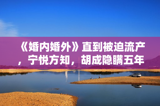 《婚内婚外》直到被迫流产，宁悦方知，胡成隐瞒五年的真相