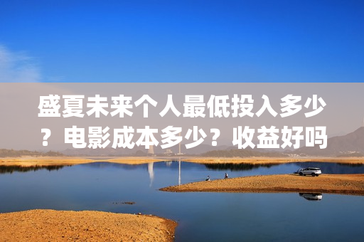 盛夏未来个人最低投入多少？电影成本多少？收益好吗？(盛夏未来中的dj)