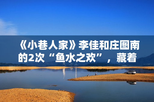 《小巷人家》李佳和庄图南的2次“鱼水之欢”，藏着成年人的算计