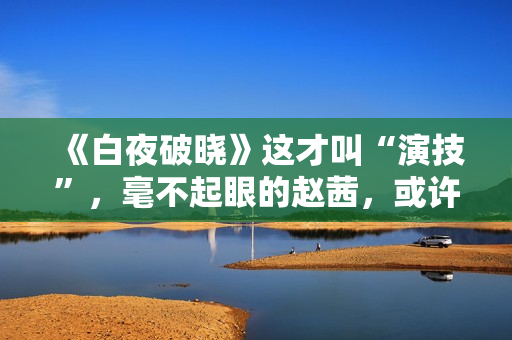 《白夜破晓》这才叫“演技”，毫不起眼的赵茜，或许才是最有戏的