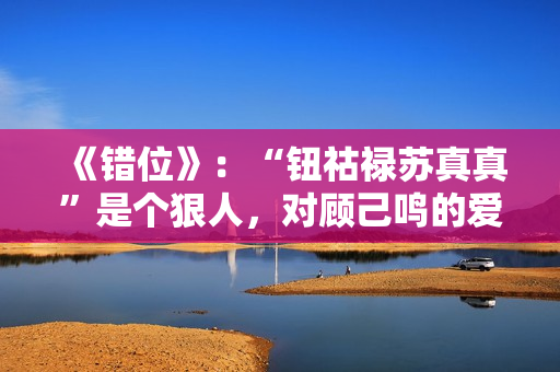 《错位》：“钮祜禄苏真真”是个狠人，对顾己鸣的爱，一言难尽