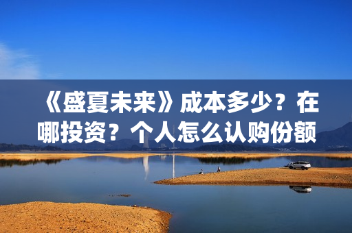 《盛夏未来》成本多少？在哪投资？个人怎么认购份额？(盛夏未来l)