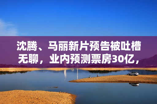 沈腾、马丽新片预告被吐槽无聊，业内预测票房30亿，网友不看好