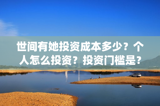 世间有她投资成本多少？个人怎么投资？投资门槛是？(世间有她电影投资)