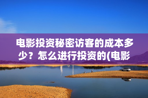 电影投资秘密访客的成本多少？怎么进行投资的(电影投资秘密访客演员表)