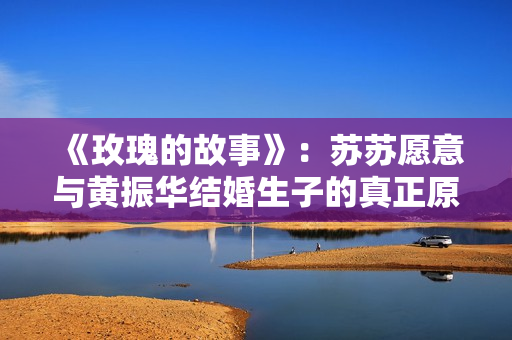 《玫瑰的故事》：苏苏愿意与黄振华结婚生子的真正原因被我找到了