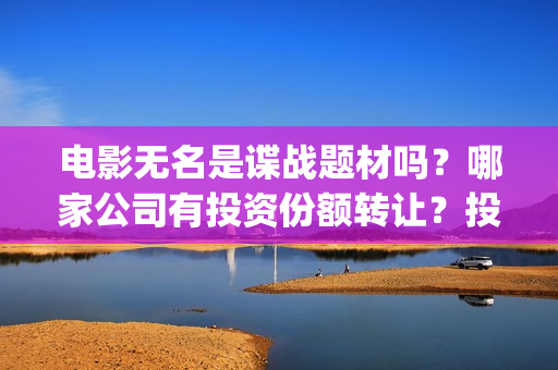 电影无名是谍战题材吗？哪家公司有投资份额转让？投资成本多少？(无名是哪个电影里的)