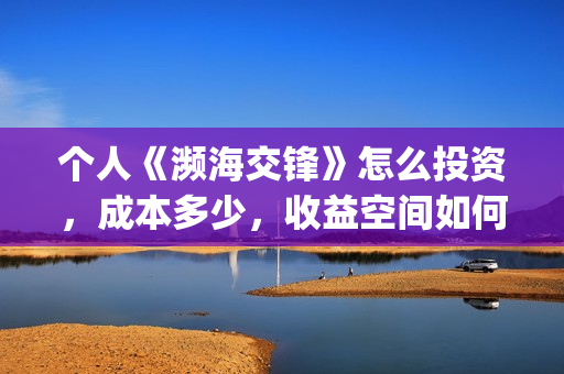 个人《濒海交锋》怎么投资，成本多少，收益空间如何？(濒海交锋是哪家公司出品)