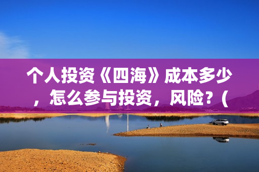 个人投资《四海》成本多少，怎么参与投资，风险？(四海电影投资项目)