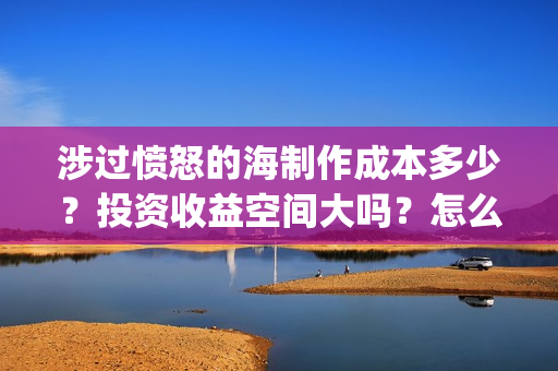 涉过愤怒的海制作成本多少？投资收益空间大吗？怎么去投资？(涉过愤怒的海原著)