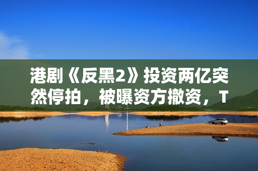 港剧《反黑2》投资两亿突然停拍，被曝资方撤资，TVB多位艺人参演