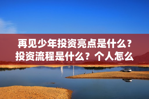 再见少年投资亮点是什么？投资流程是什么？个人怎么参与(再见少年联合出品方)