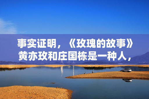 事实证明，《玫瑰的故事》黄亦玫和庄国栋是一种人，但后者更自私