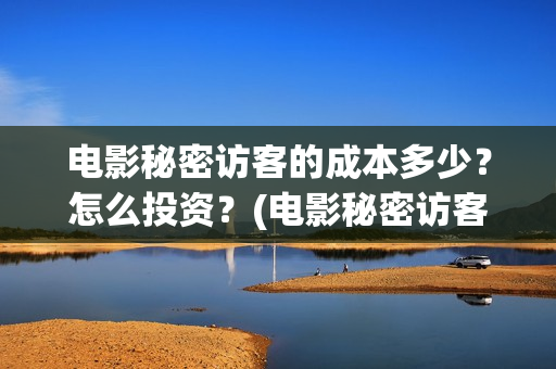 电影秘密访客的成本多少？怎么投资？(电影秘密访客的内容)