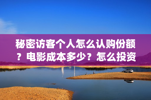 秘密访客个人怎么认购份额？电影成本多少？怎么投资？(秘密访客隐藏细节)