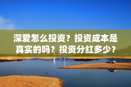 深爱怎么投资？投资成本是真实的吗？投资分红多少？(深爱电影投资)