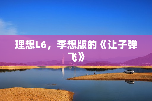 理想L6，李想版的《让子弹飞》